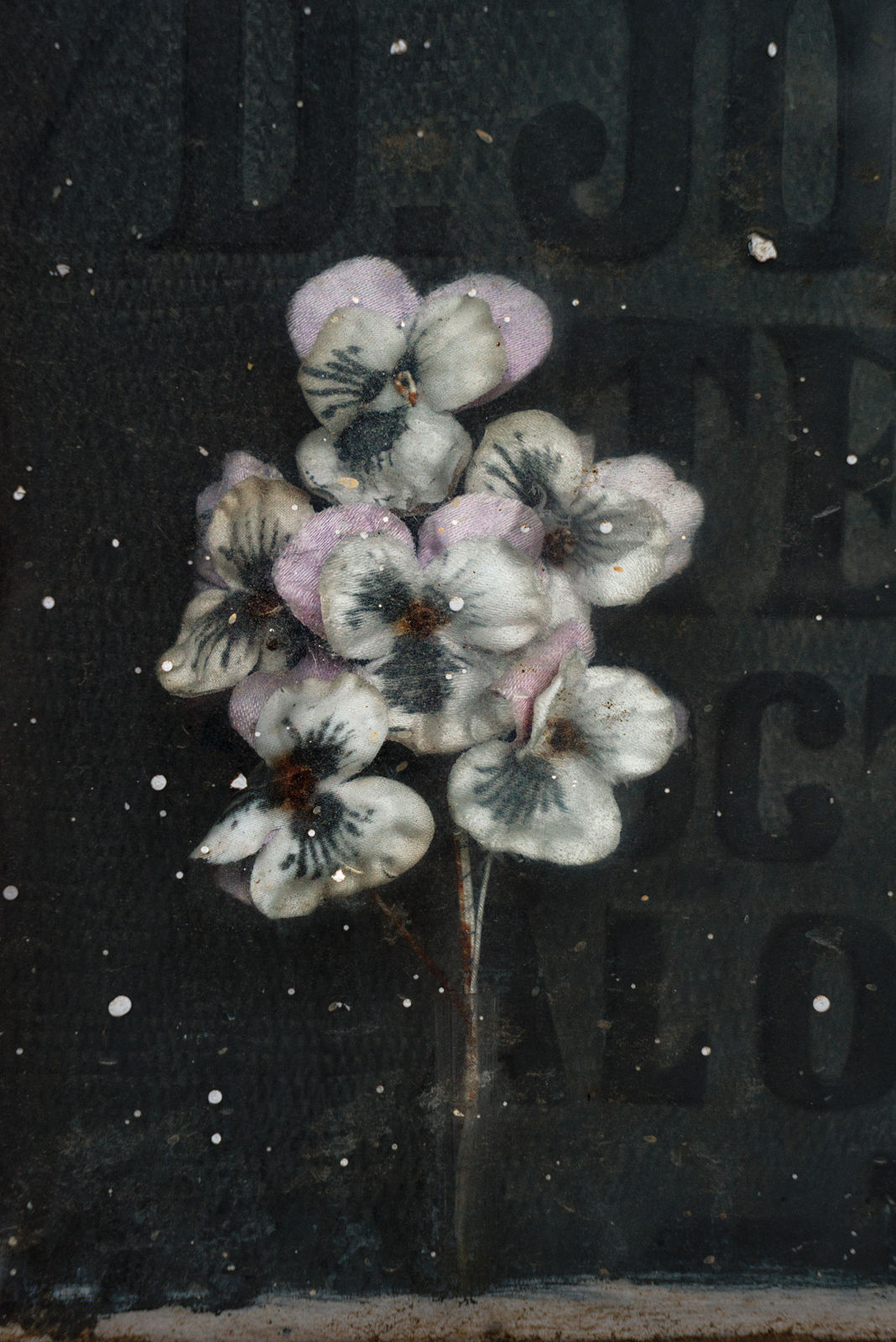 Christopher Thomas, Eternity 03, Cordoba, Spain, 2008