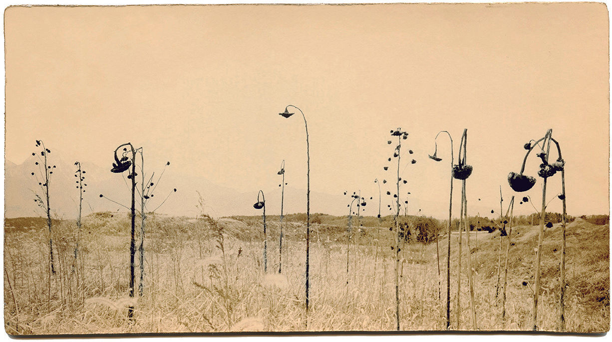 Miho Kajioka, BK0065, 2013