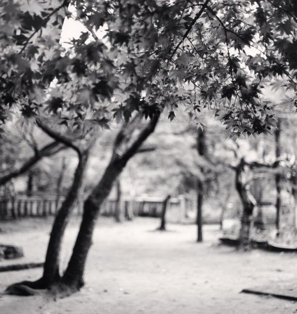 Michael Kenna, Temple Garden, Negoroji, Kagawa, Shikoku, Japan, 2003