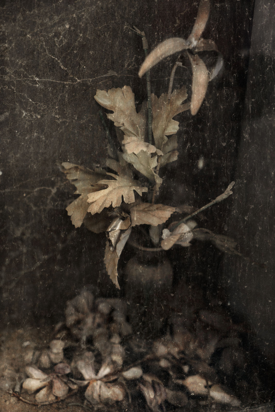 Christopher Thomas, Eternity 77, Granada, Spain, 2011