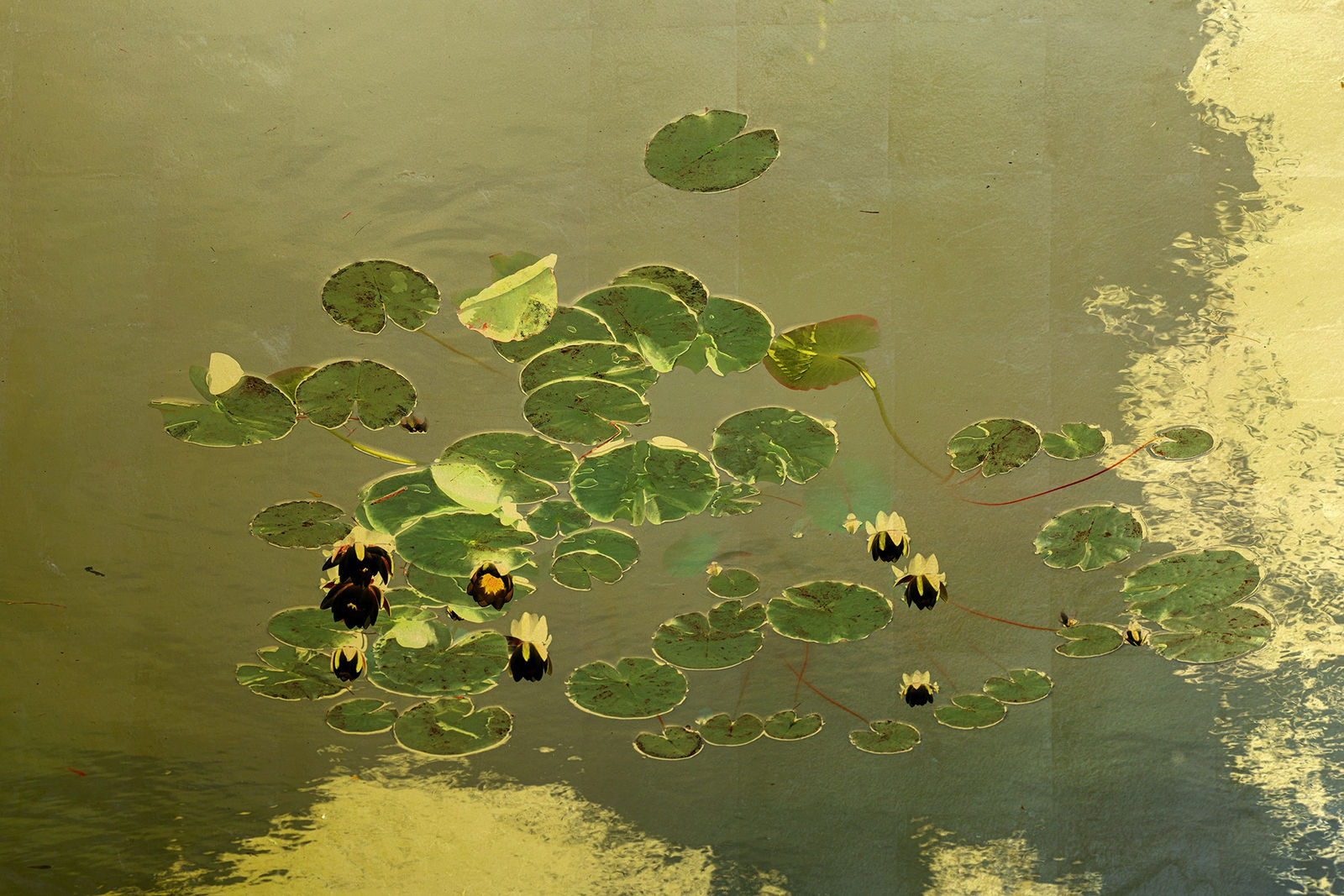 Albarrán Cabrera, The Indestructible #70026, 2019