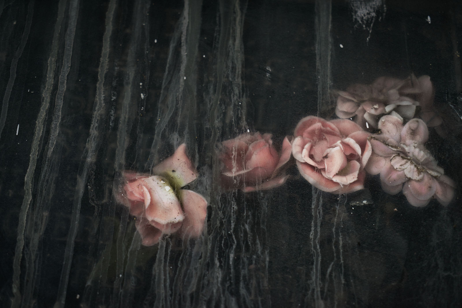 Christopher Thomas, Eternity 28, Cordoba, Spain, 2008