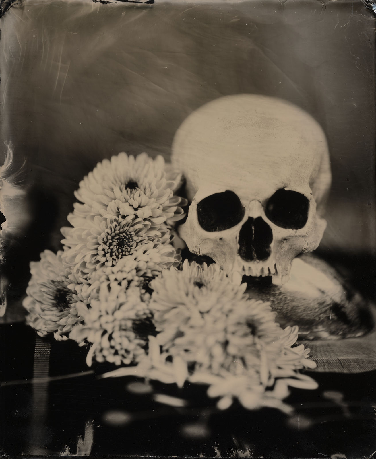 Steffen Diemer, Totenkopf, WVZ 268, 2014