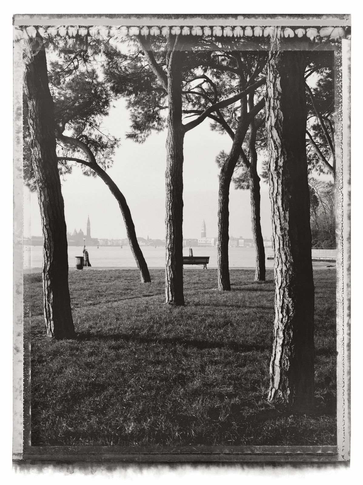 Christopher Thomas, Parco delle Rimembranze, Venice, Italy, 2010