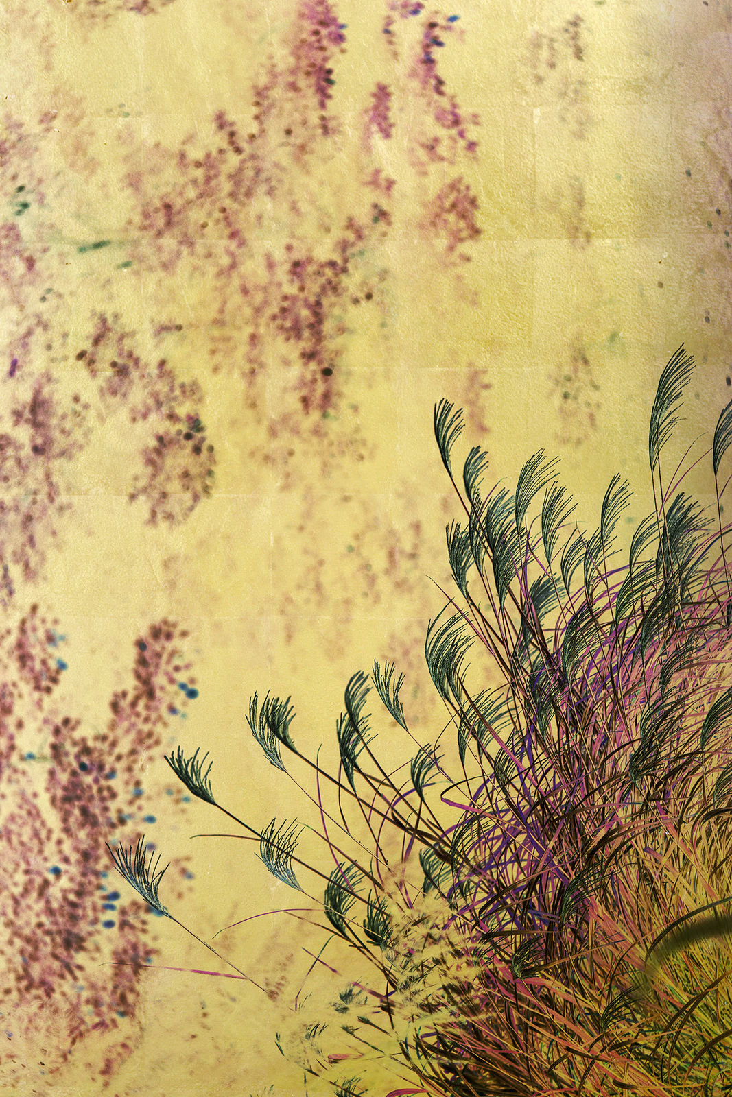 Albarrán Cabrera, The Indestructible #70022, 2016