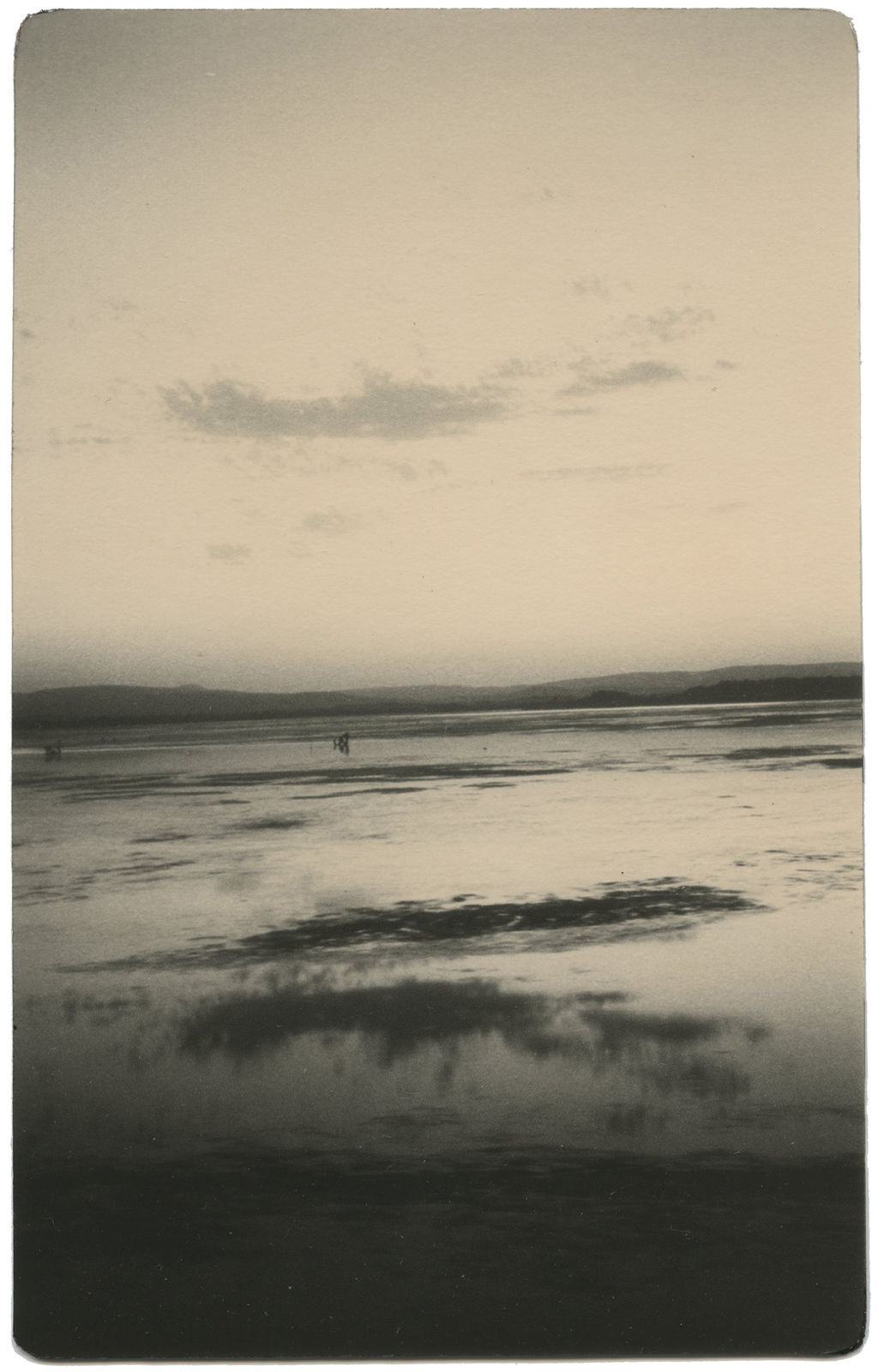 Miho Kajioka, BK0047, 1994