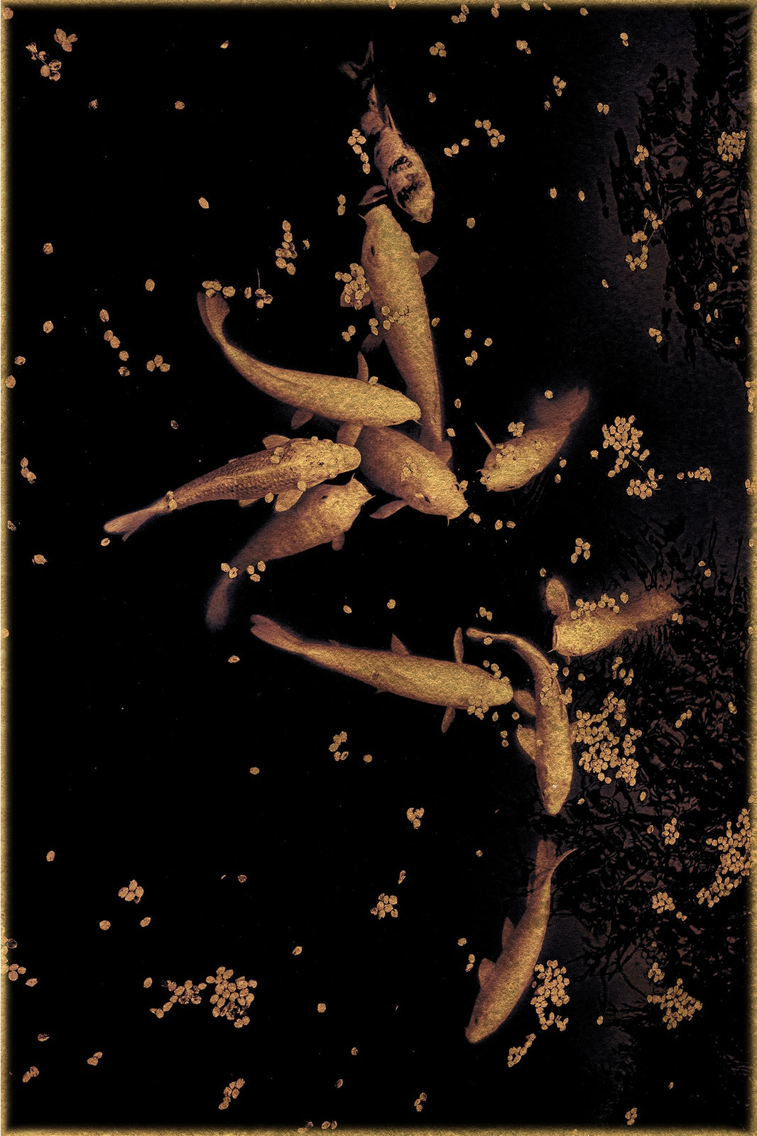 Albarrán Cabrera, The Mouth of Krishna #929, 2018