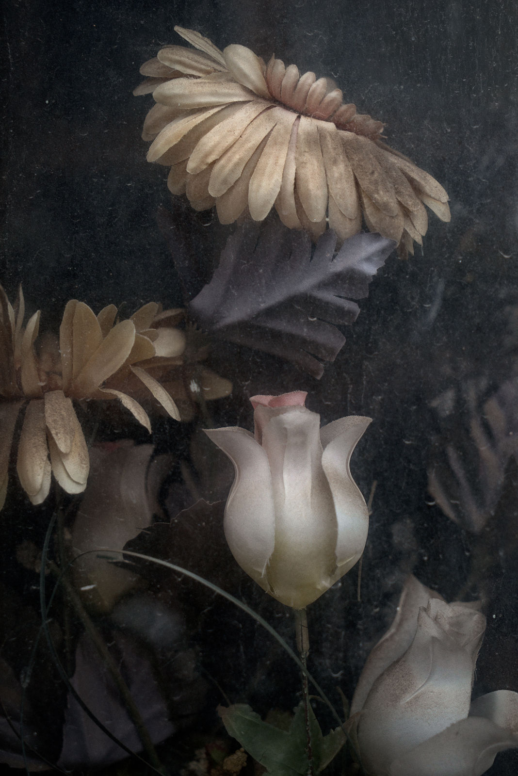 Christopher Thomas, Eternity 36, Cordoba, Spain, 2008