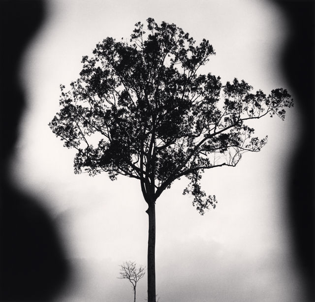 Michael Kenna, Banteay Srei Trees, Angkor, Cambodia, 2018