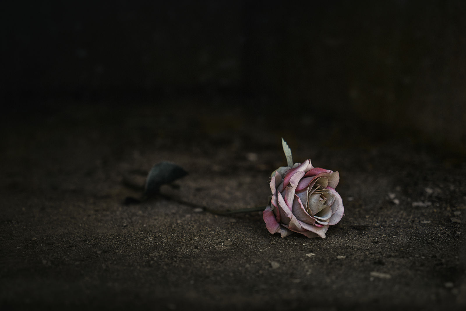 Christopher Thomas, Eternity 43, Barcelona, Spain, 2005