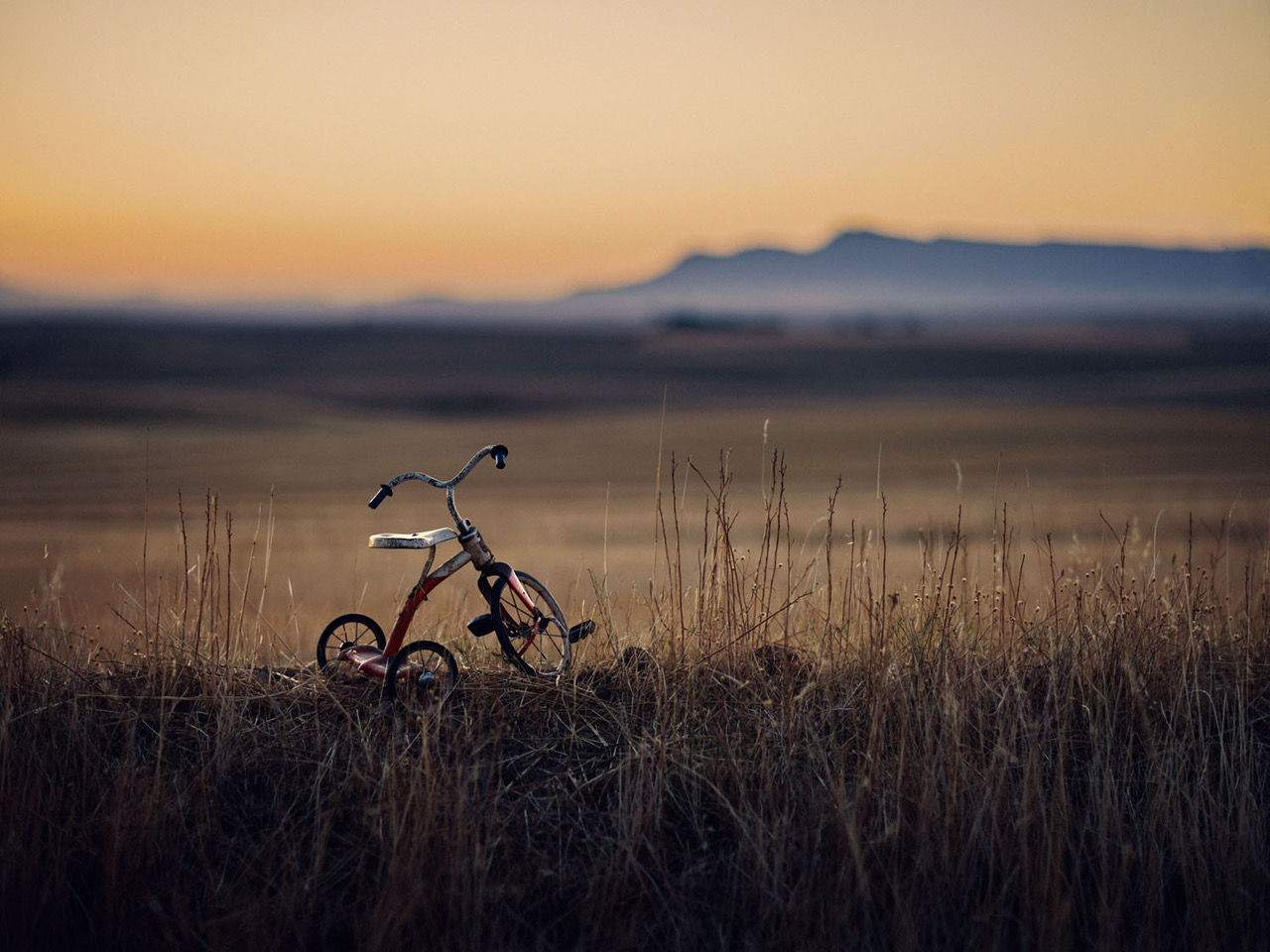 Christopher Thomas, Bittersweet 02, 2012