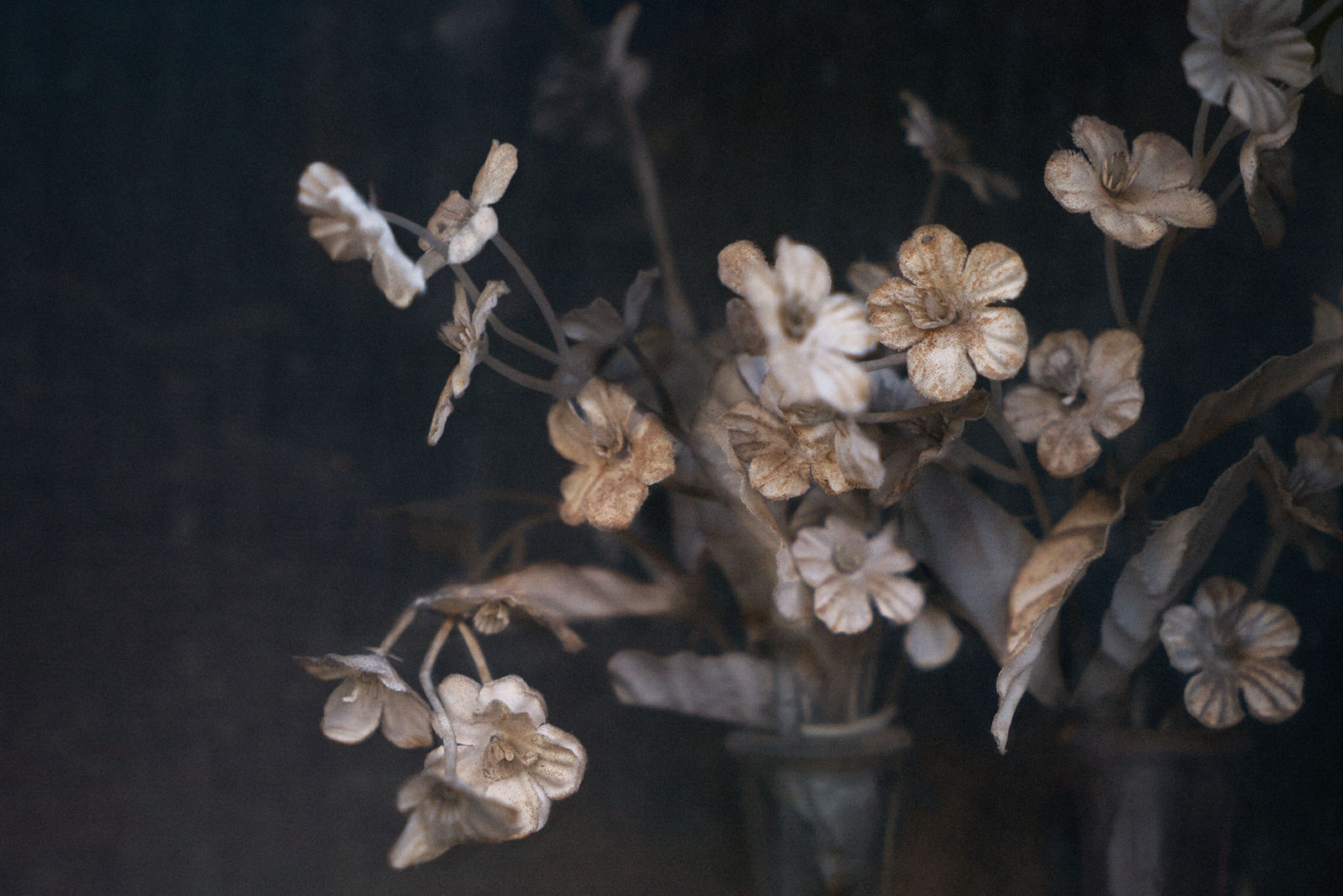 Christopher Thomas, Eternity 24, Cadiz, Spain, 2005