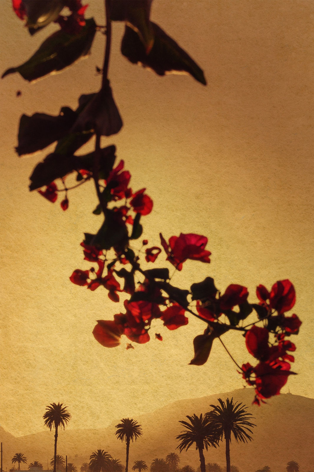 Albarrán Cabrera, The Mouth of Krishna #797, 2019