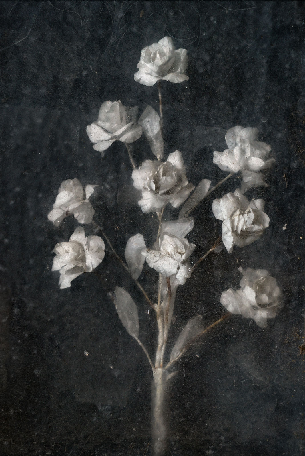 Christopher Thomas, Eternity 29, Granada, Spain, 2008