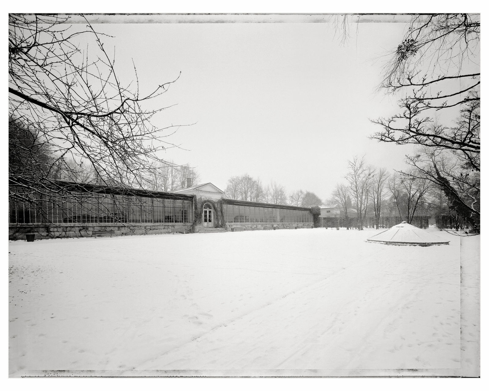 Christopher Thomas, Palmenhaus, Nymphenburger Schlosspark, 1999 - 2005