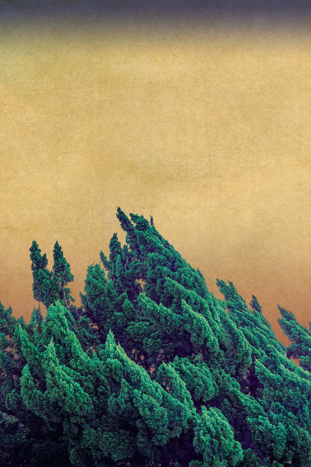 Albarrán Cabrera, The Mouth of Krishna, #284, 2016