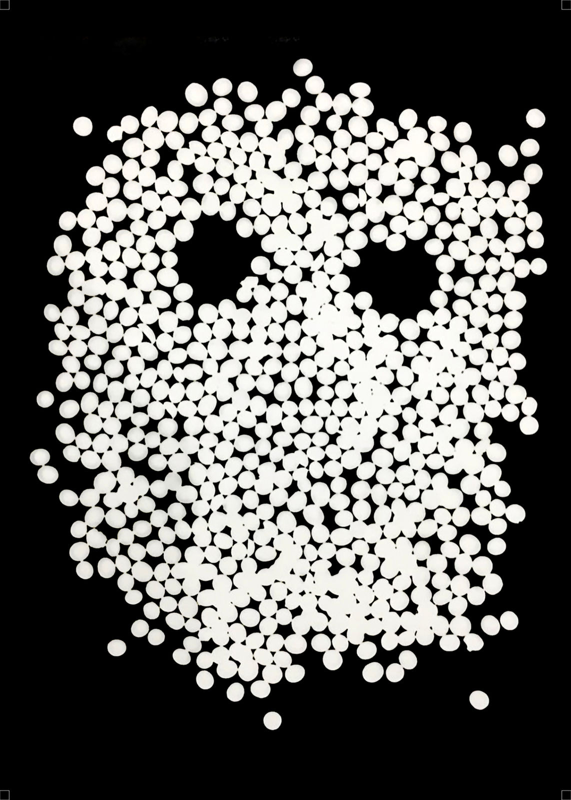 Anang Saptoto, Ecological Faces Series: Soybean Seeds in Photogram, 2018