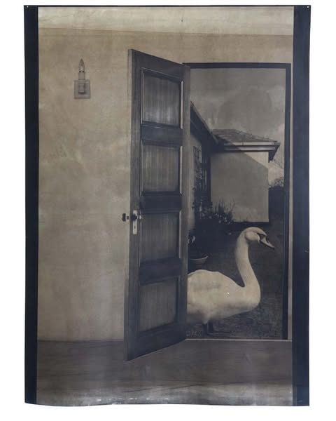 Isobel McCarthy, A Reminder from The Swan, 2024