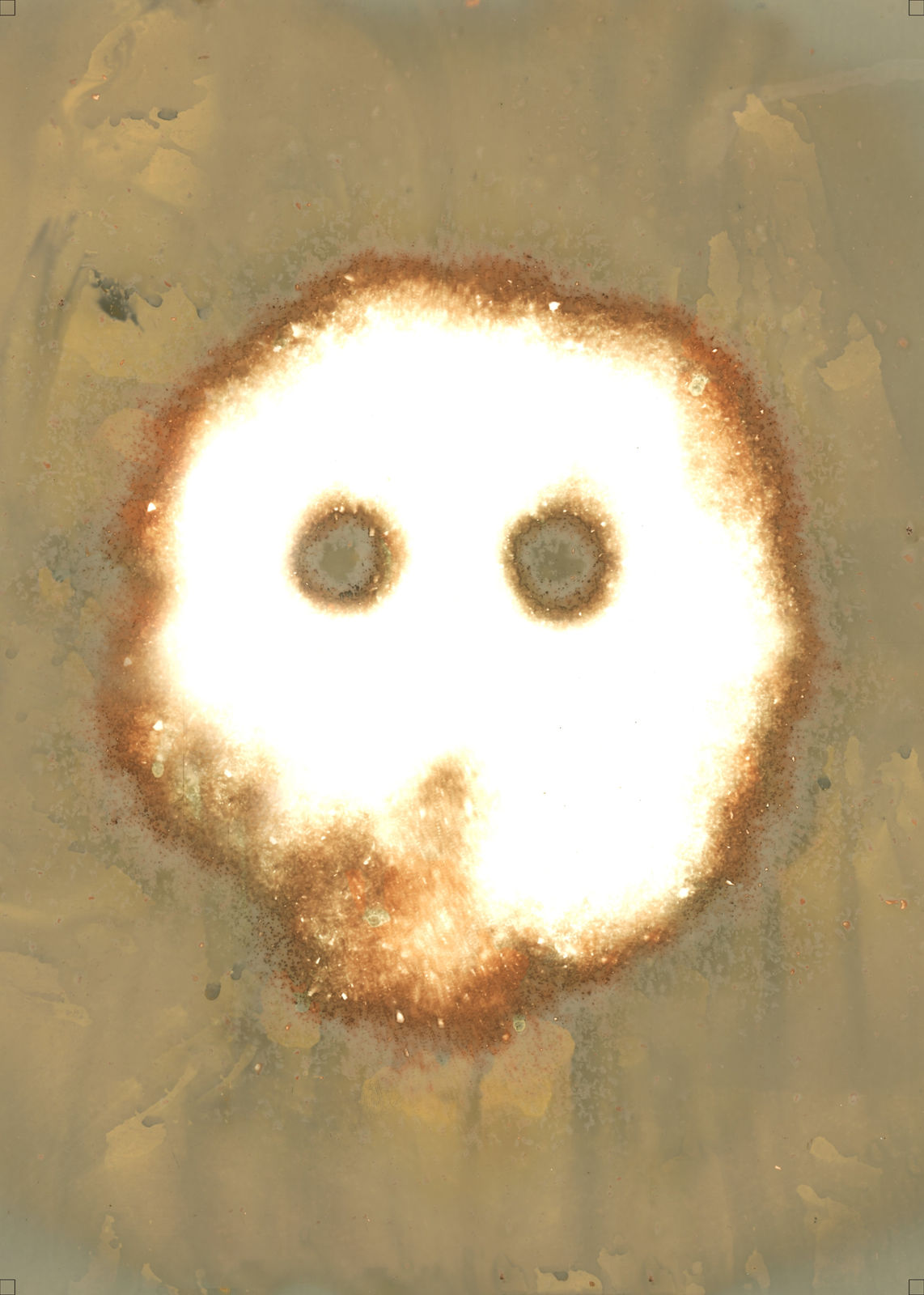 Anang Saptoto, Ecological Faces Series: Grated Coconut in Lumen Print, 2018