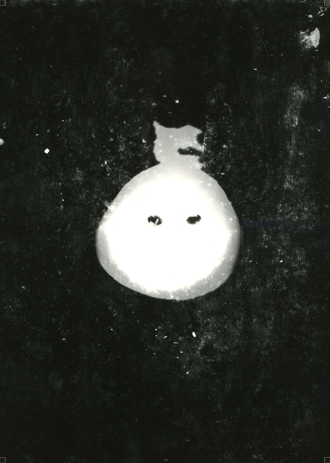 Anang Saptoto, Ecological Faces Series: Coconut Seeds in Photogram, 2018