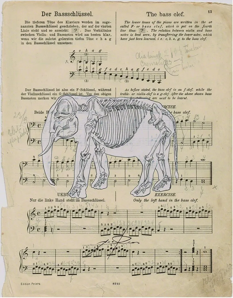 Axel Ríos, The Bass Clef, 2014