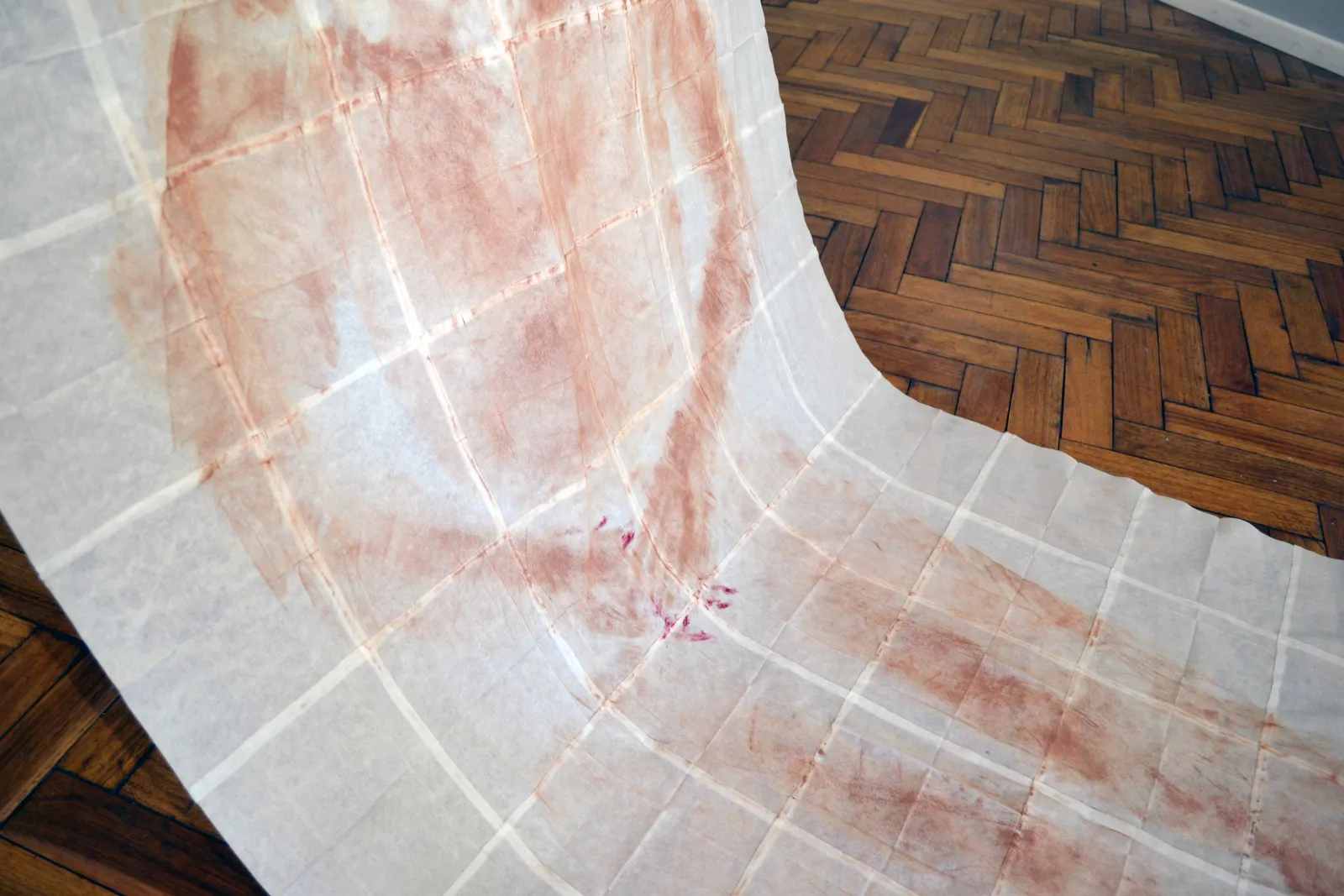 Nia De Indias, La Síndone, 2023