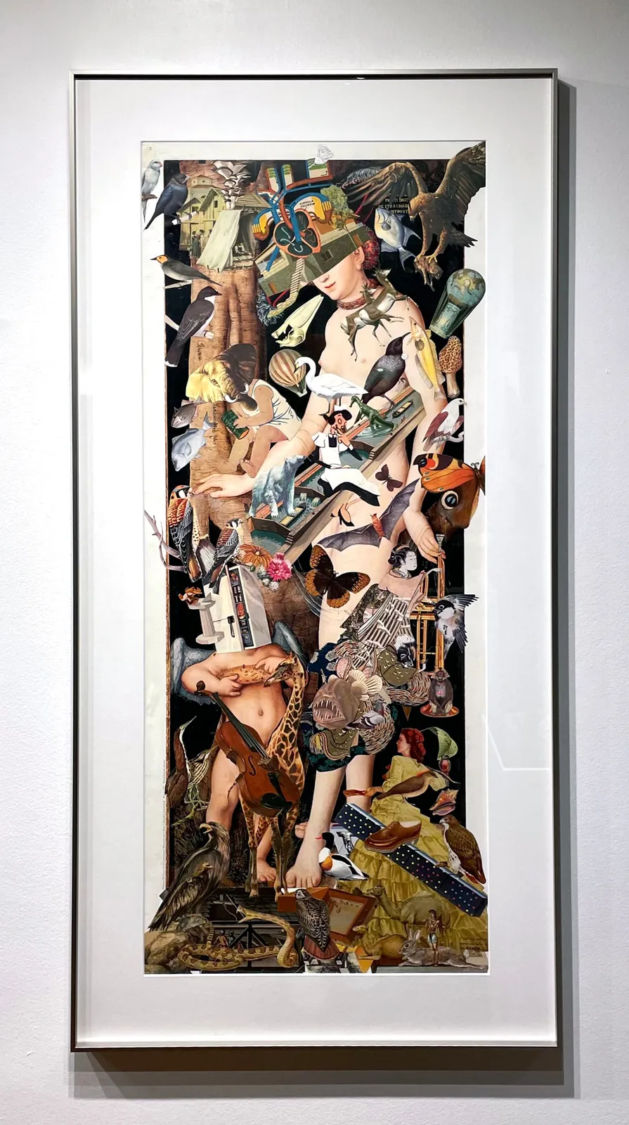 Mauricio Garrido, Cranach, 2023