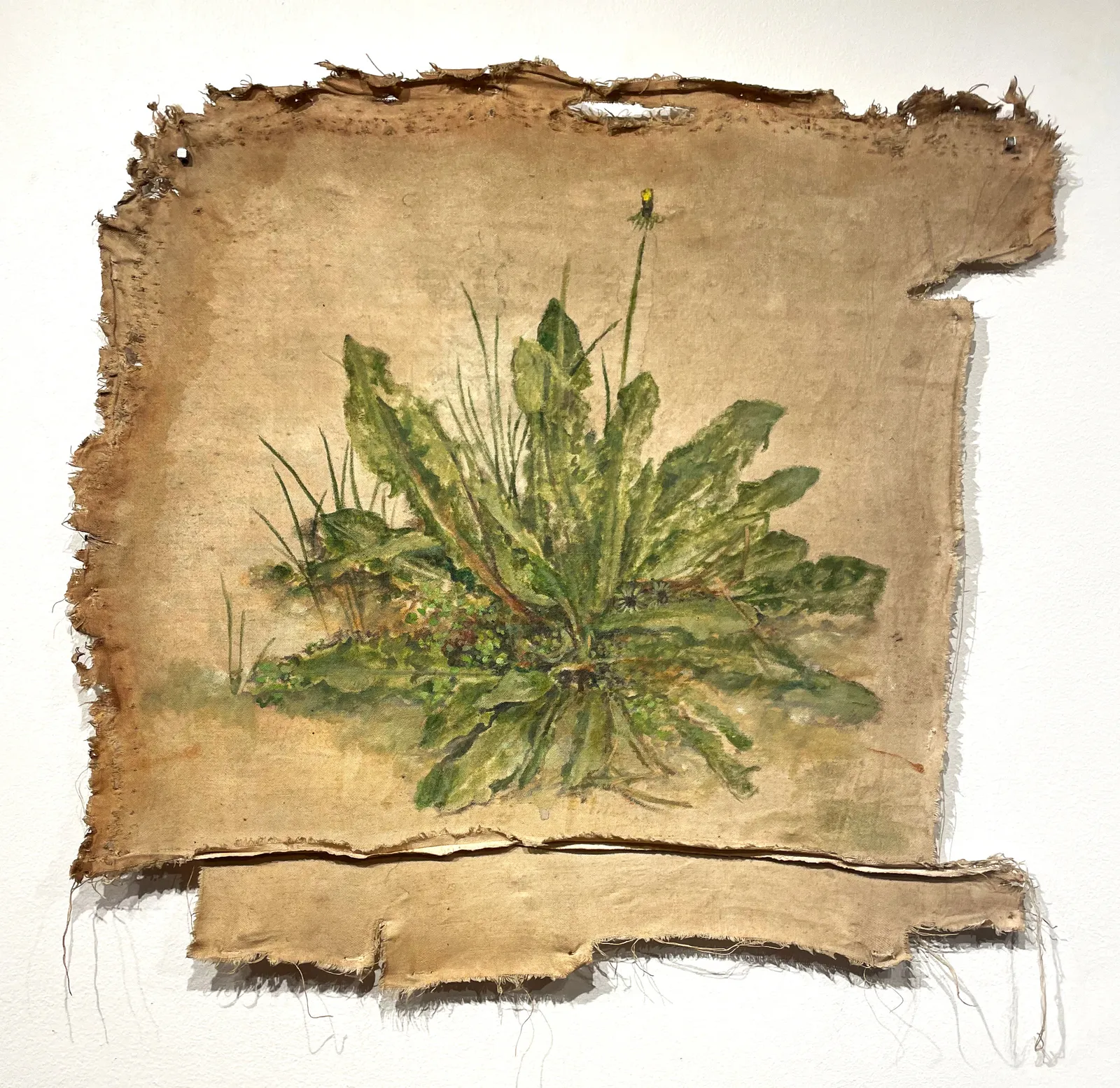 Claudia Peña, Sin Título, de la serie Polvo Soy, 2023