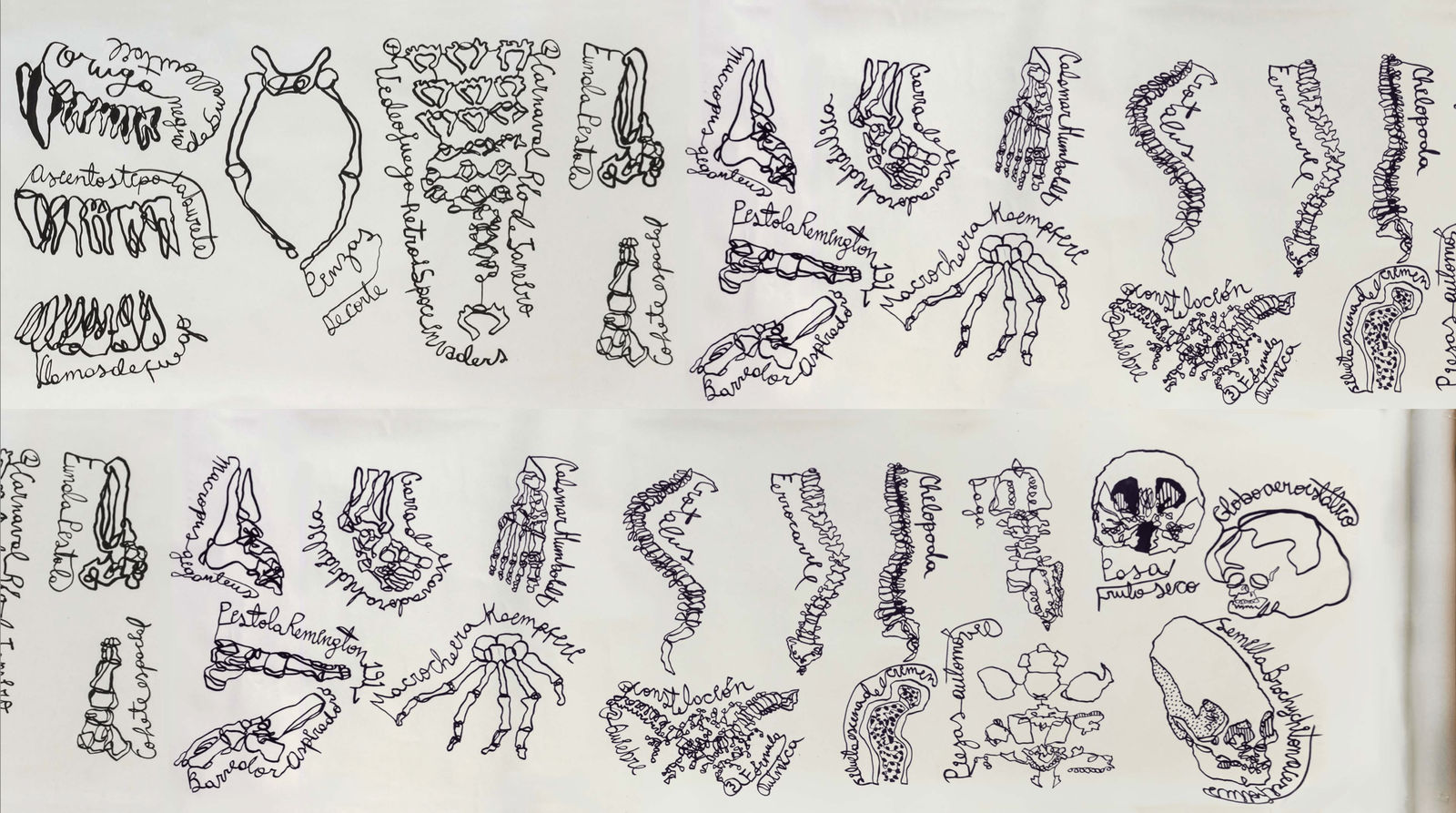 Laett Aray, Enciclopedia Osteológica, 2020