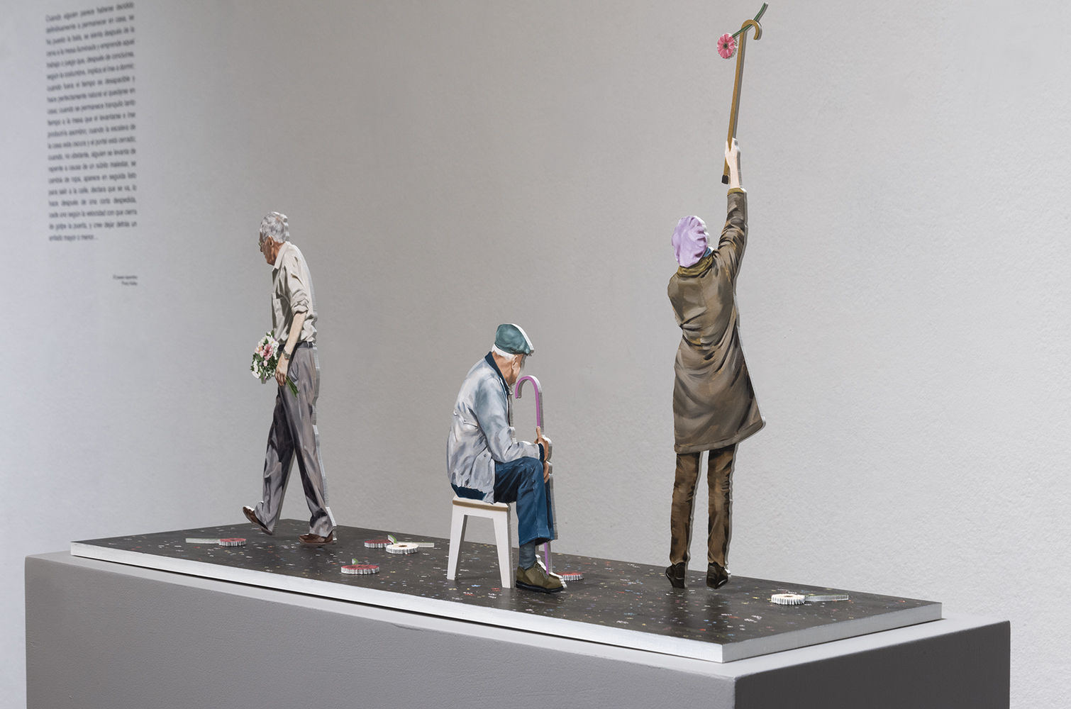 Andrea Breinbauer, Tragedia, 2017