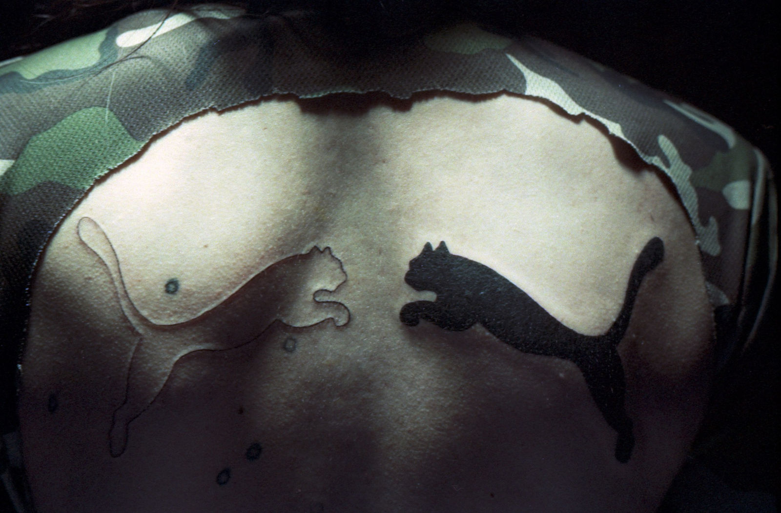 Kütral Vargas Hüaiquimilla, Pangui, 2022