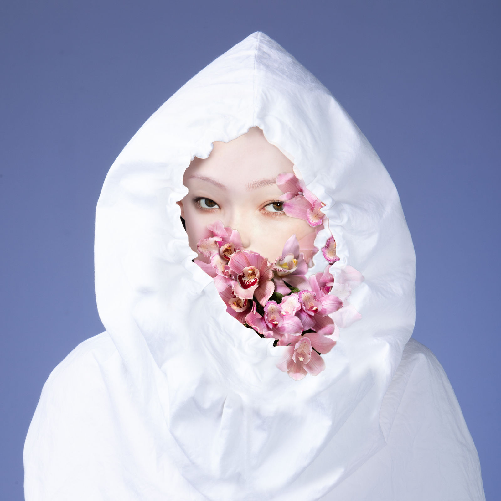 Cecilia Avendaño, CR 06 - Chrysalis, 2022