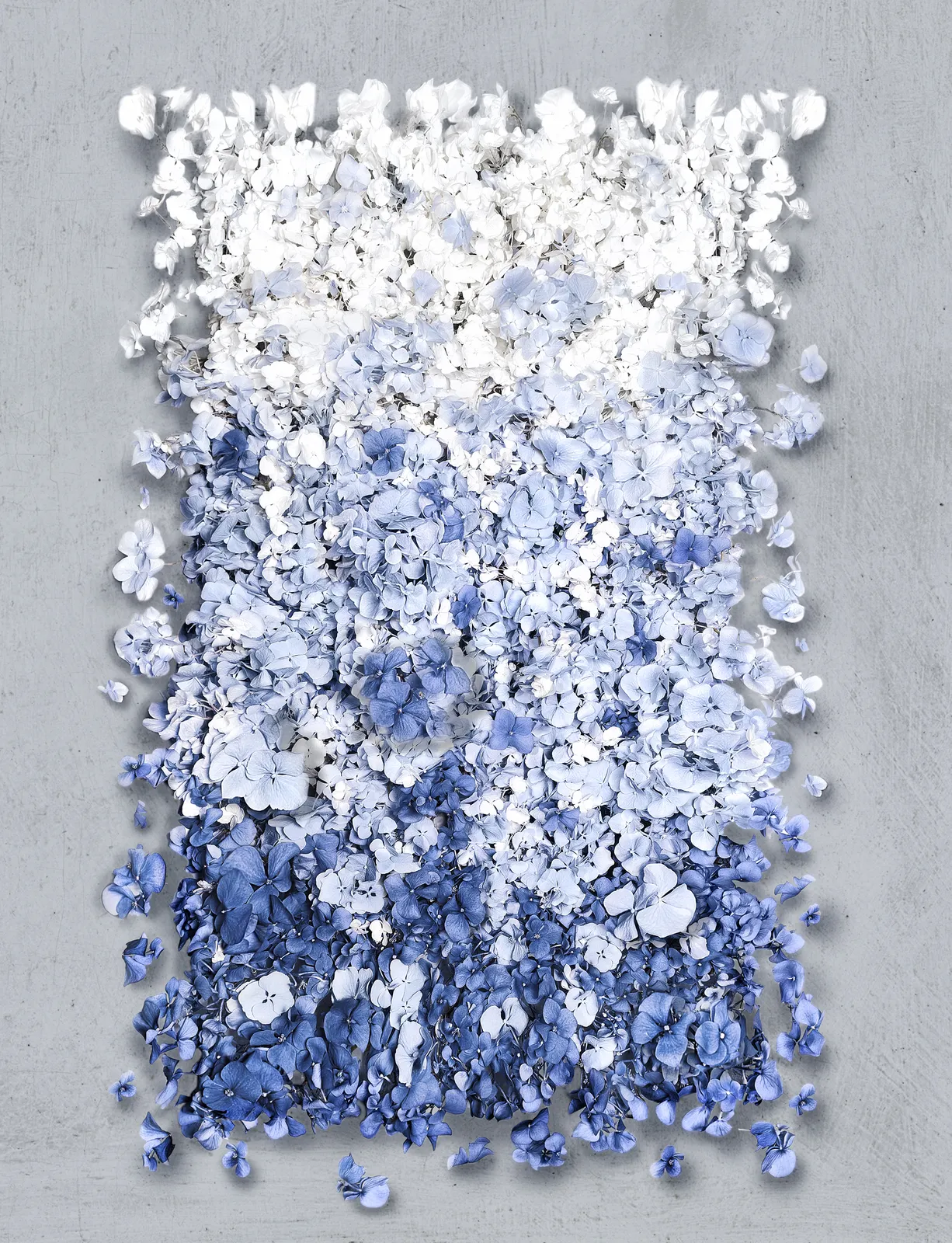 Isabelle van Zeijl, Blue Light I, 2023