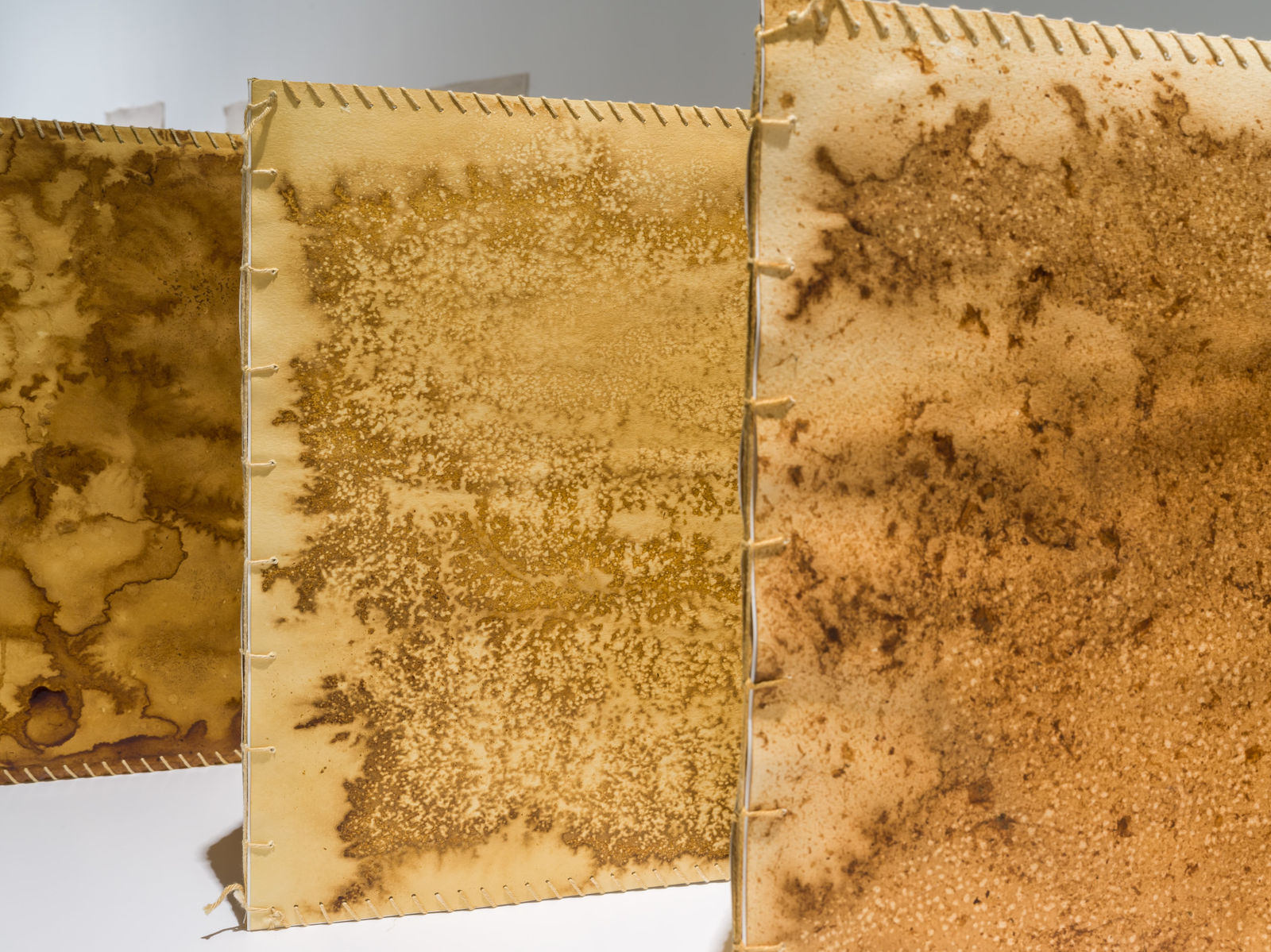 Tamara Kalo, Olive Leaves Memories, 2024