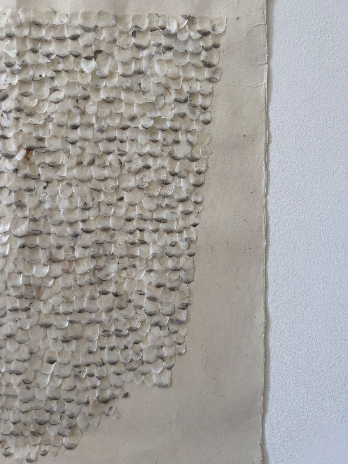 Richi Bhatia, Hybrid Set Up VII, 2025