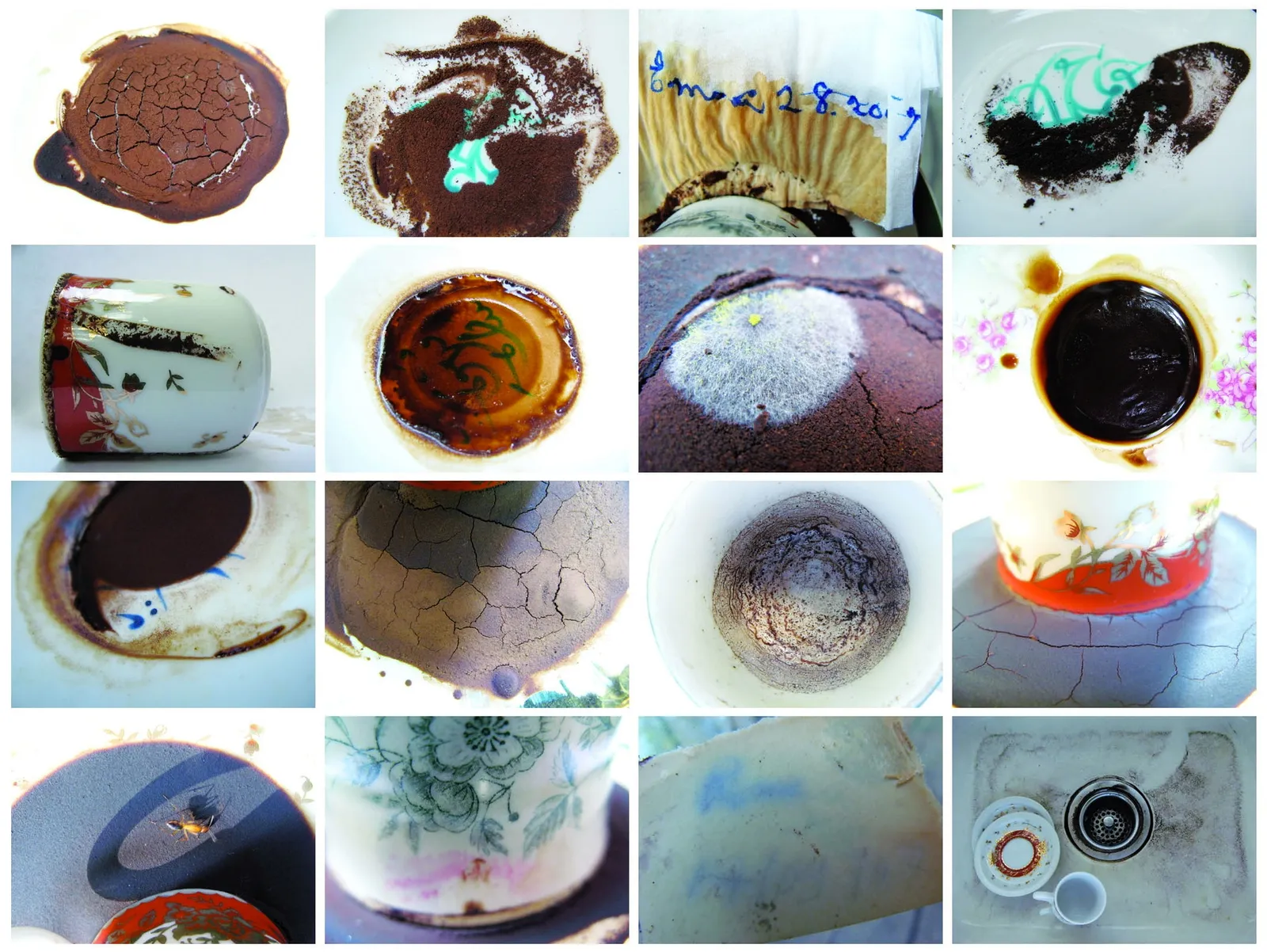 Lara Baladi, Diary of the Future, 2008