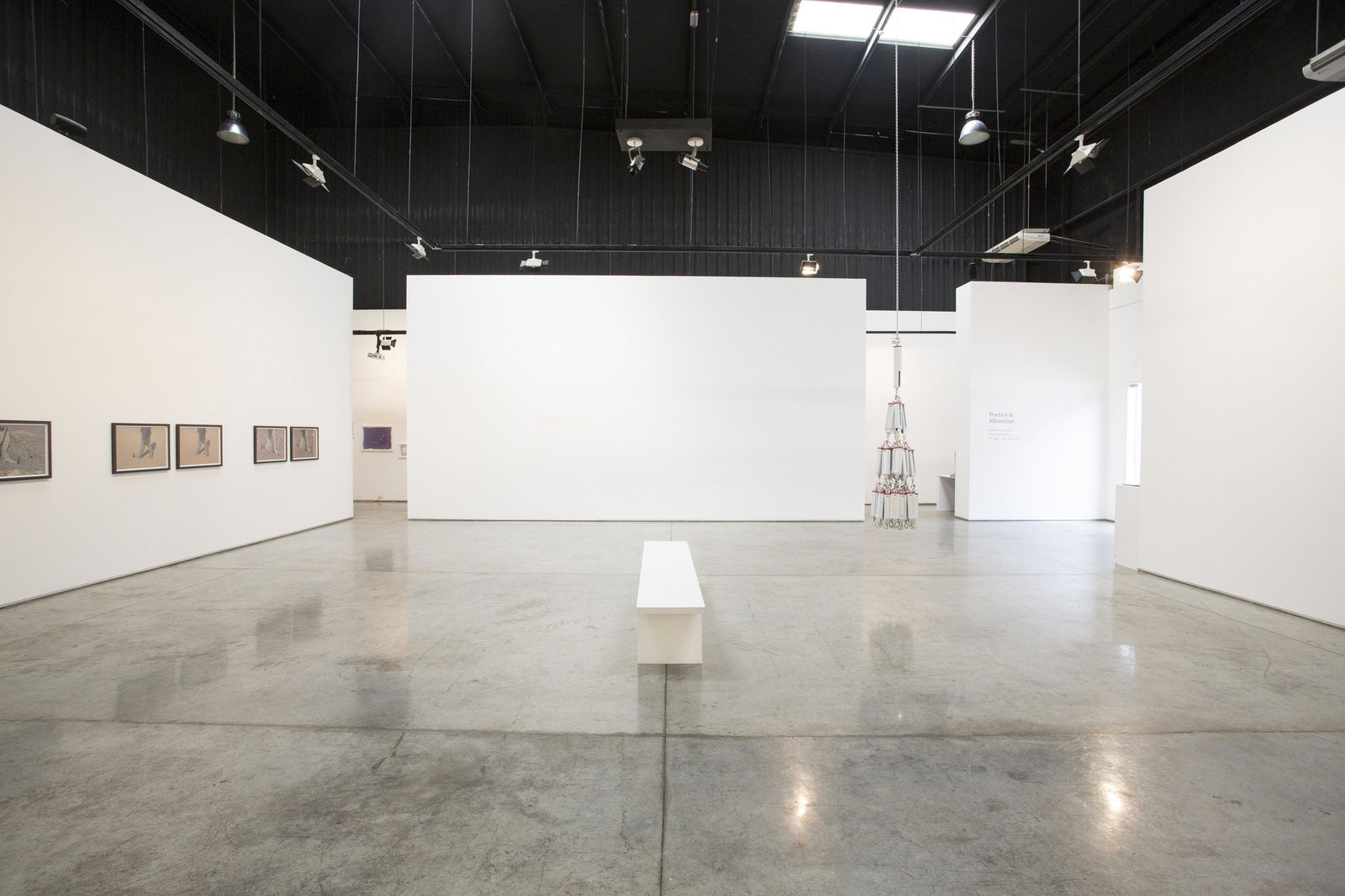 Mohammed Kazem, Poetics and Meanings, 2013