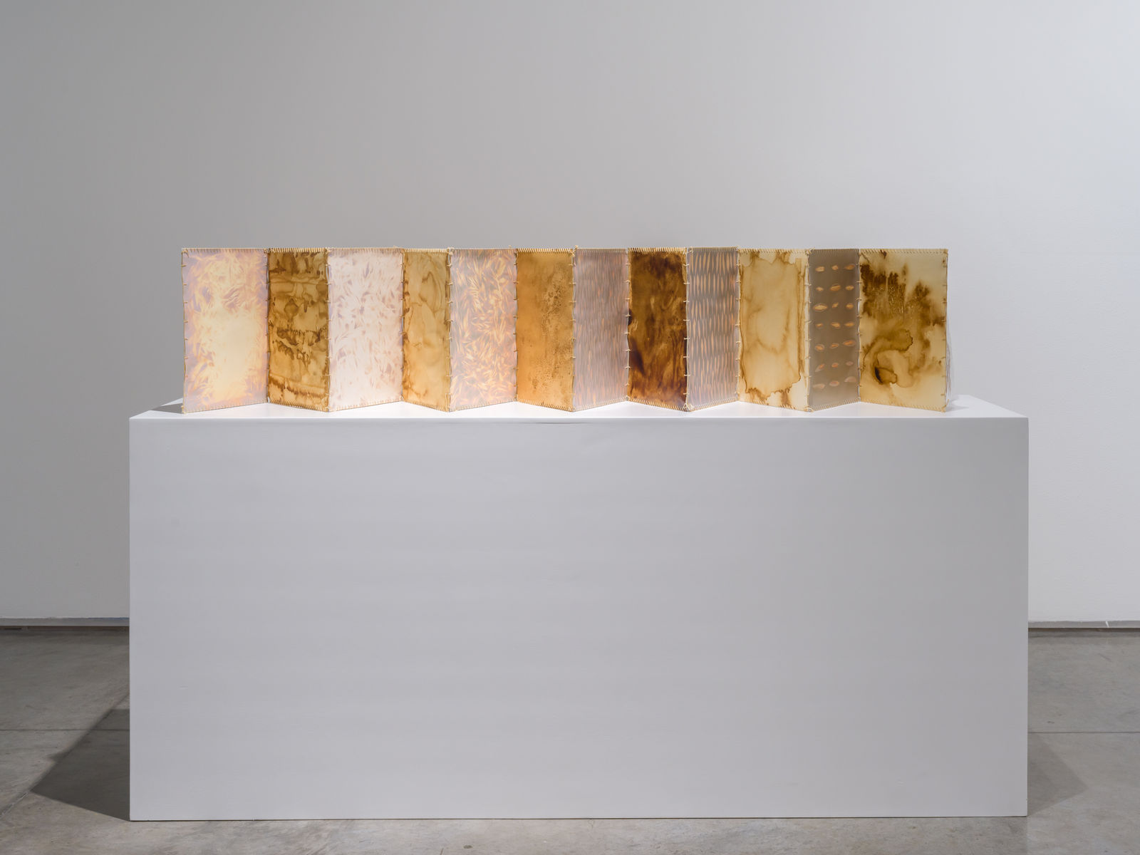 Tamara Kalo, Olive Leaves Memories, 2024