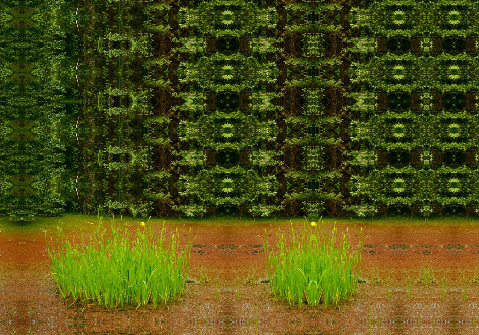 Ramin Haerizadeh, Wonders of Nature, 2006-2007