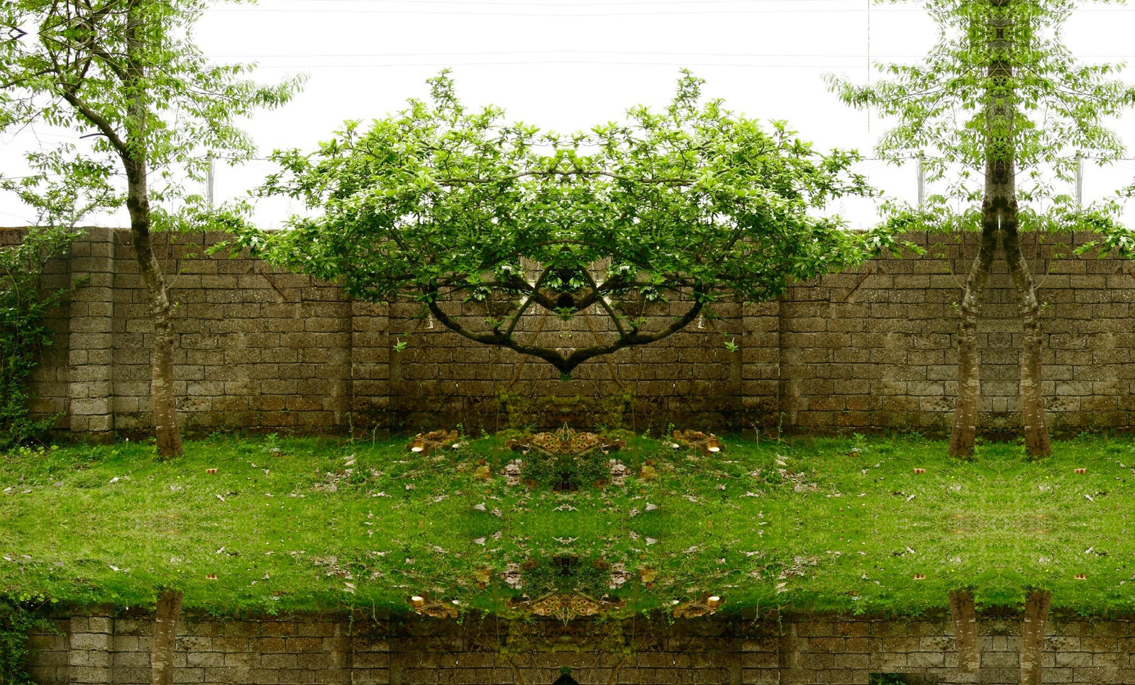 Ramin Haerizadeh, Wonders of Nature, 2006-2007