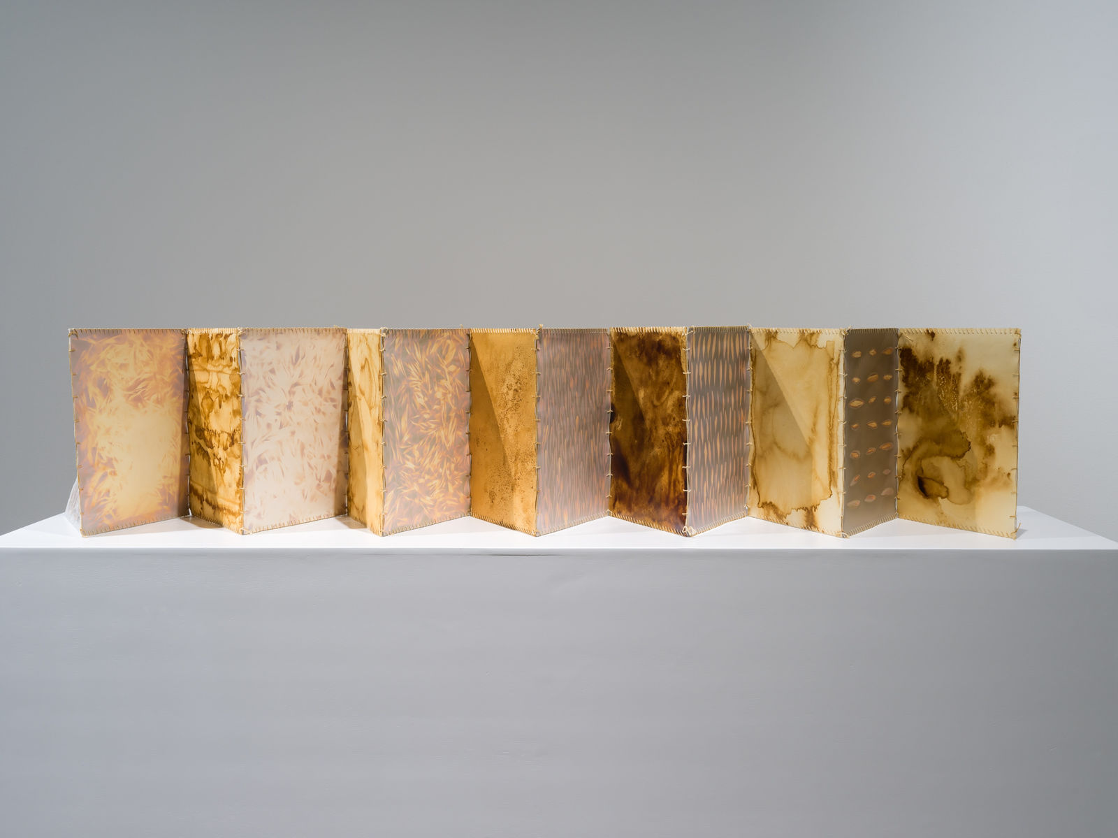 Tamara Kalo, Olive Leaves Memories, 2024