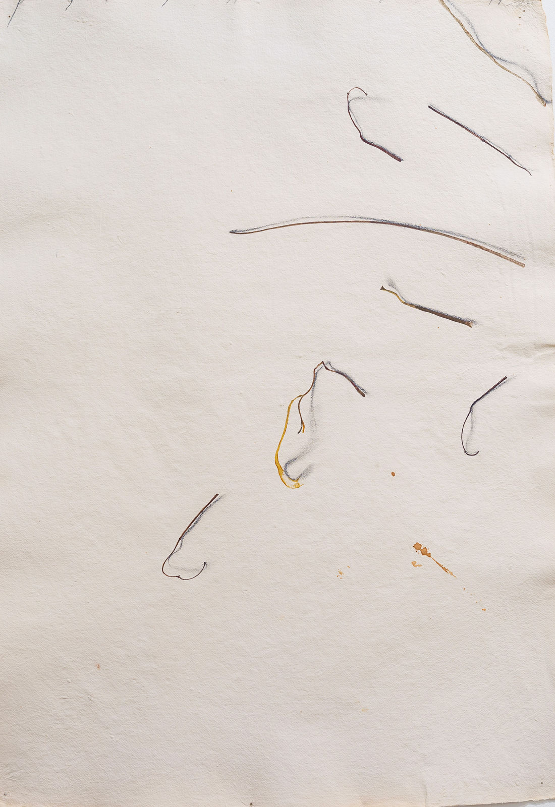 Fereydoun Ave, Twigs, 1999