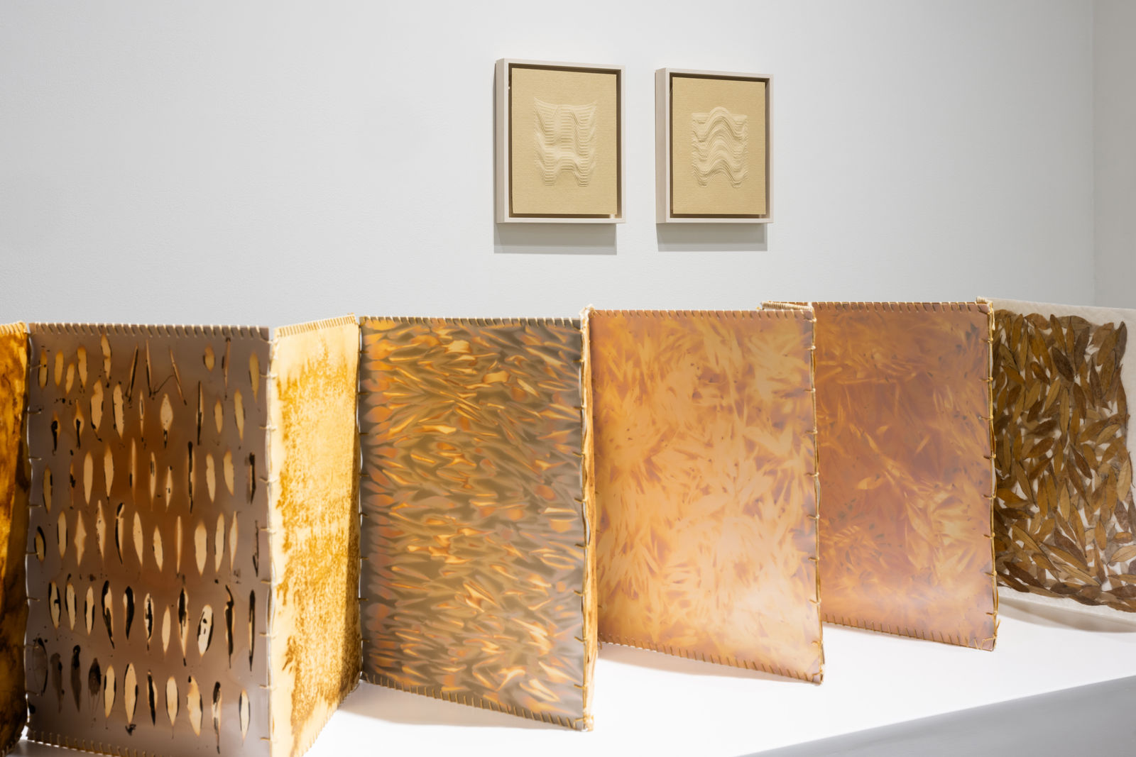 Tamara Kalo, Olive Leaves Memories, 2024