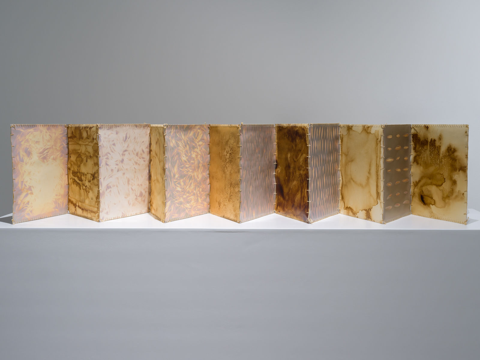 Tamara Kalo, Olive Leaves Memories, 2024