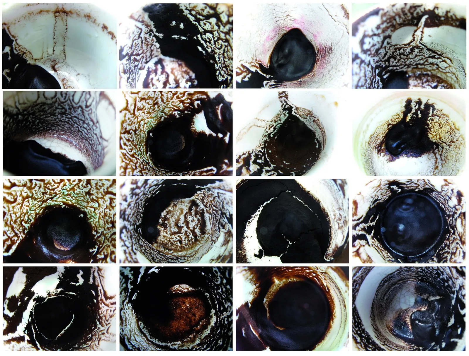 Lara Baladi, Diary of the Future, 2008