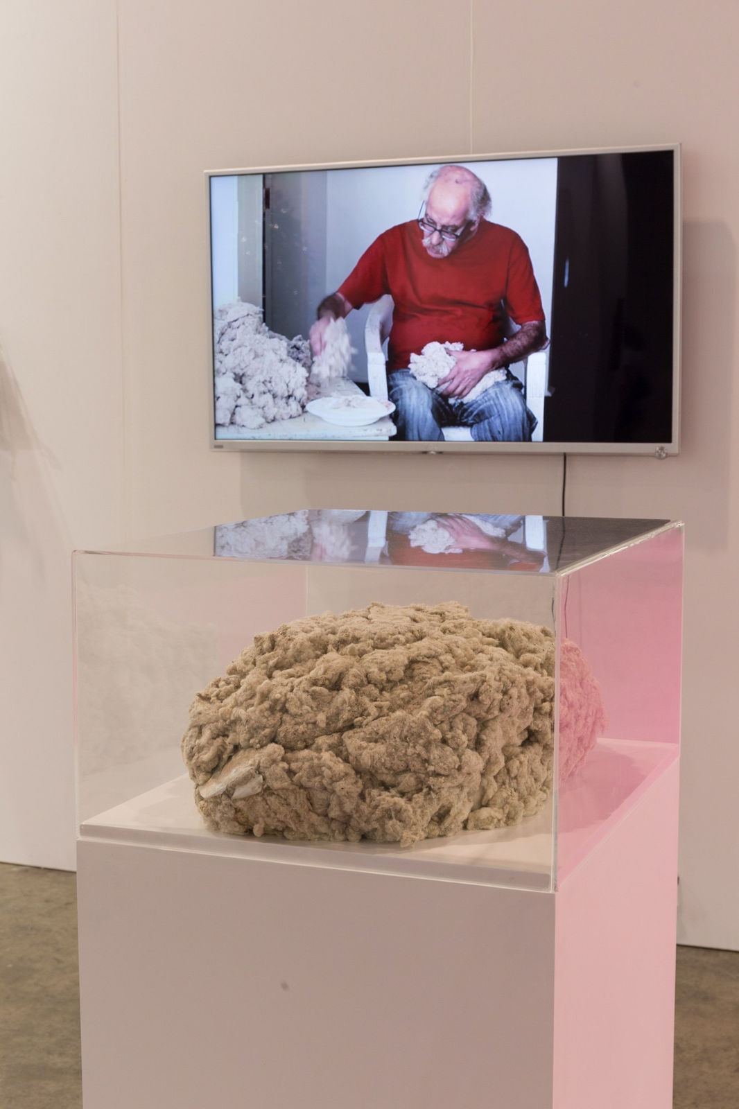 Hassan Sharif, Cotton, 2013