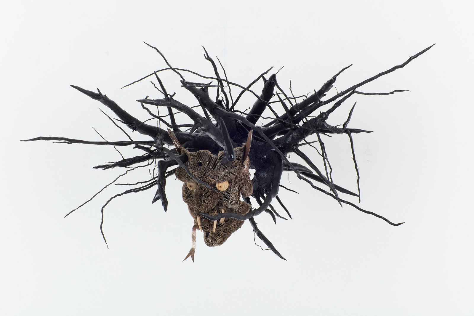 Giovanni Fabián Guerrero, De la serie Buscar la lluvia. Perder la sombra” (From the series Seeking Rain. To lose one's shadow), 2025