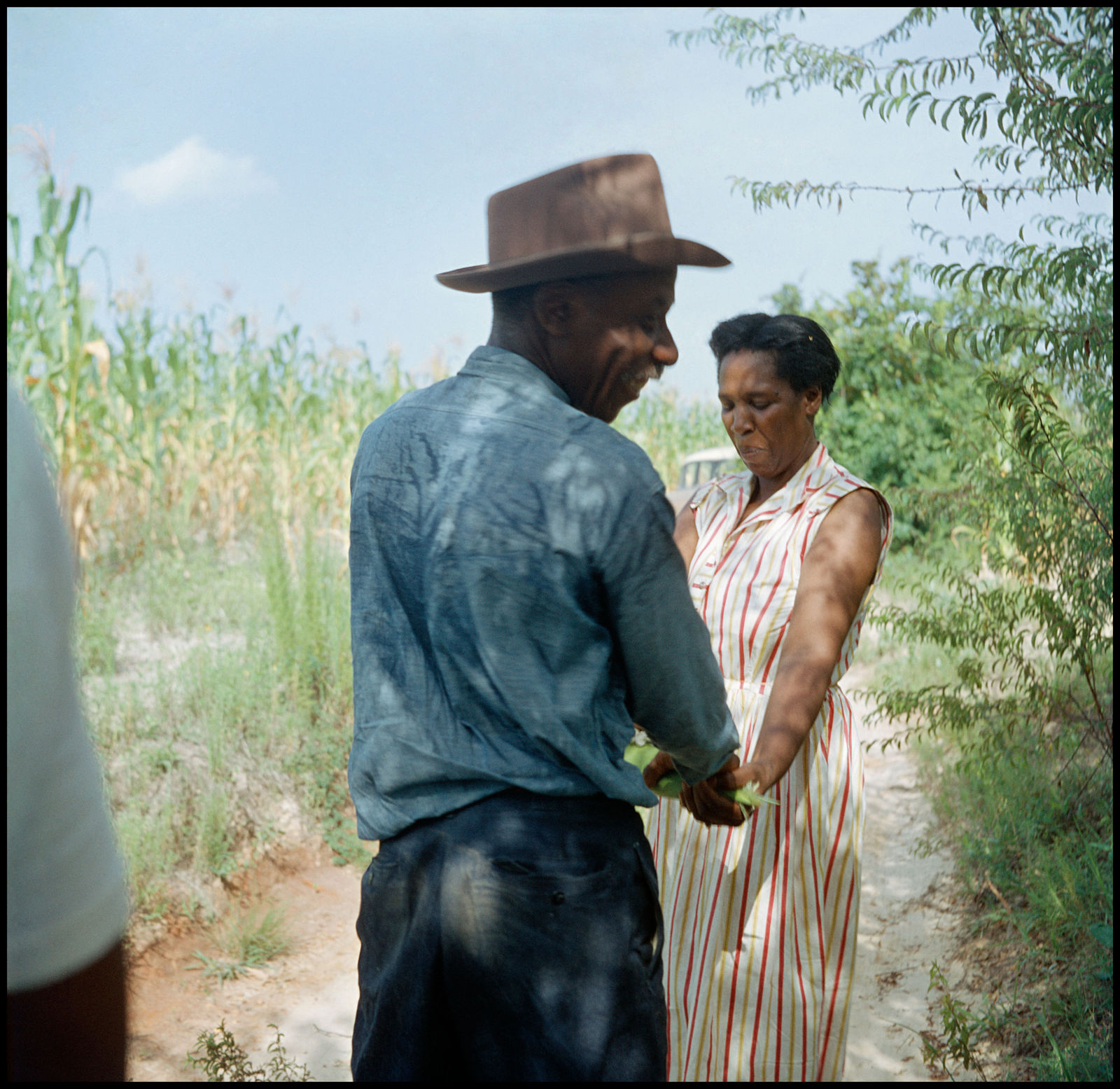 Gordon Parks, Untitled, Shady Grove, Alabama (37.145), 1956