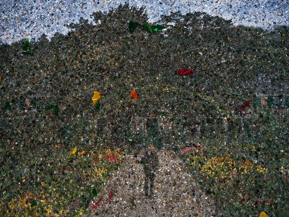 Abelardo Morell, Tent-Camera Image on Ground: Gardener on Main Path of Monet's Gardens, Giverny, France, 2016