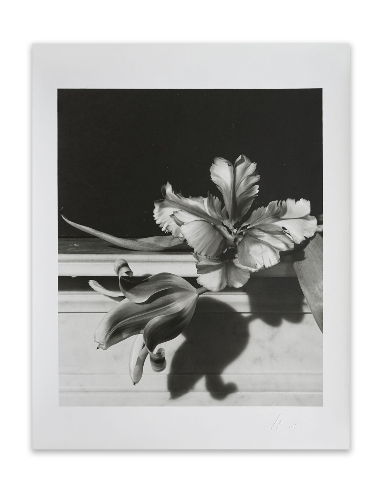 Horst P. Horst, Tulips on Mantle, Oyster Bay, NY, 1989